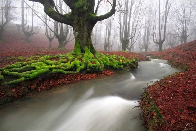 Tequila - #fotografia #earthporn #zdjecia 

#tekilasoup (moze bedzie wiecej ;))