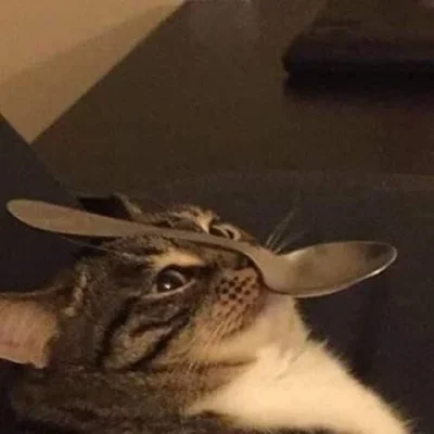 morgiel - @jestemwdupie: to ja wstawie kota z łyżeczką na głowie, kto mi zabroni?
