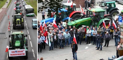 Bluesgreen - Czy tylko dla mnie dość komicznie wyglądają protesty rolników, którzy wy...
