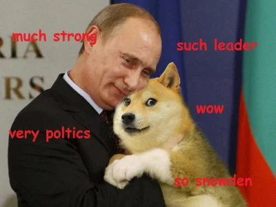 team1212 - #putin #doge #zawszesmieszy #wow