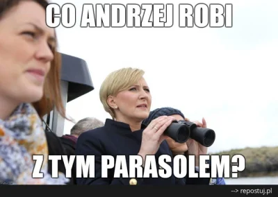 FelisViridis - A może jest na tym słynnym otwarciu? ( ͡º ͜ʖ͡º) #pdk
#cenzoduda #hehe...