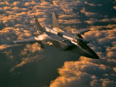 m.....b - MiG-31

#aircraftboners #lotnictwo #czerwonastronamocy