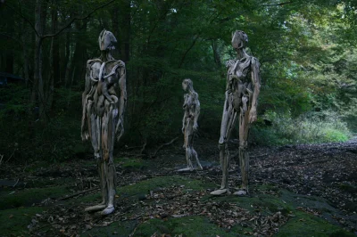 supi - humanoidalne rzeźby z drewna stworzone przez japońskiego artystę Nagato Iwasak...