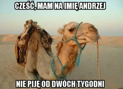 nynu - #memy #abstynent #humorobrazkowy