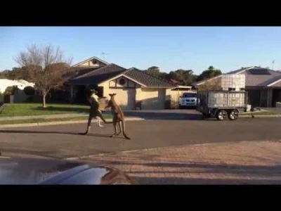 kieru - Wyjdź z domu.
Może pod twoim blokiem #!$%@?ą się...kangury

#smiesznypiese...