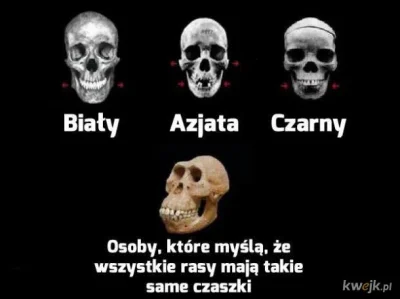 Dacjan - #bekazlewactwa #lewackalogika #rasizm #humorobrazkowy #heheszki #takaprawda ...