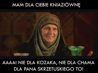 TheSjz3 - #heheszki #ogniemimieczem #pdk #testoviron