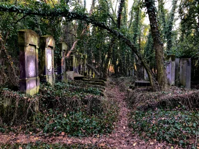 niesforna_rita - Piękny ten cmentarz, ustrzelono dzisiaj #czestochowa #fotografia #hi...