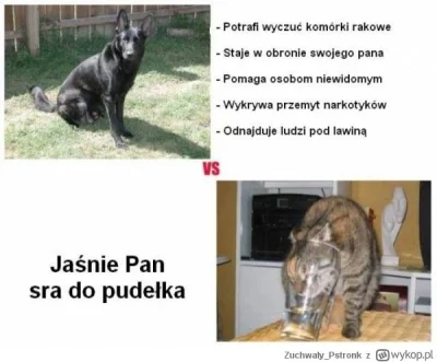 Lujan - ! #psy >>>> #koty #byloaledobre #heheszki