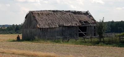 rybak17 - Szkoda tylko że typowa Polska 140 letnia stodoła wygląda mniej więcej tak: