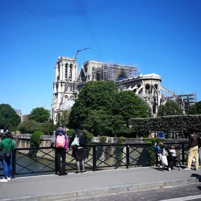 latontx - Notre Dame się naprawia
#notredame #francja #paryz