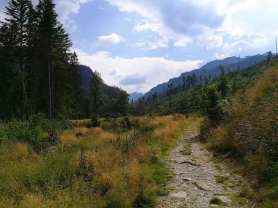 c.....o - ehh #zakopane #earthporn