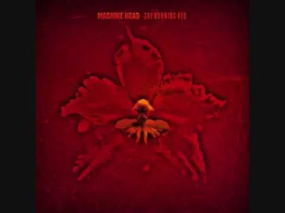 A.....0 - Machine Head - The Burning Red

#muzyka #90s #00s #machinehead