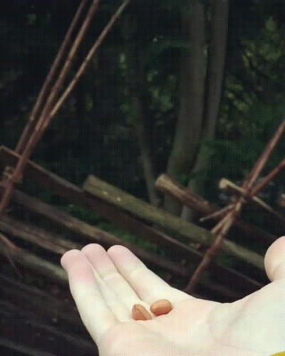 toxa - XD
#smiesznygolomp #gif
SPOILER