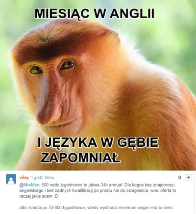 zeusik - #heheszki #humorobrazkowy #polak #nosaczsundajski