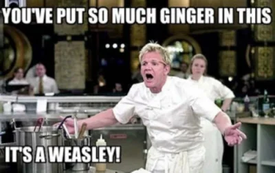 a.....a - #smiesznezabawne 

#gordonramsay