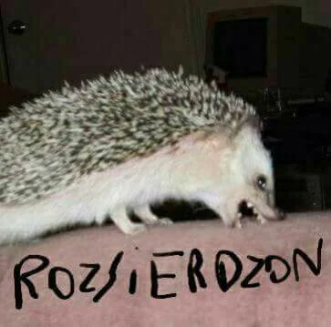 Rosikson