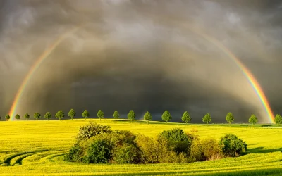 j.....n - Obrazek z Polski:
Słońce, deszcz i tęcza
#fotografia #earthporn #zdjecia ...