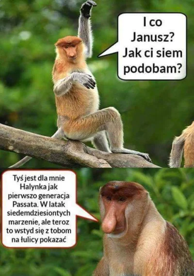 E.....5 - #heheszki #humor #humorobrazkowy #memy #nosacz #nosaczsundajski