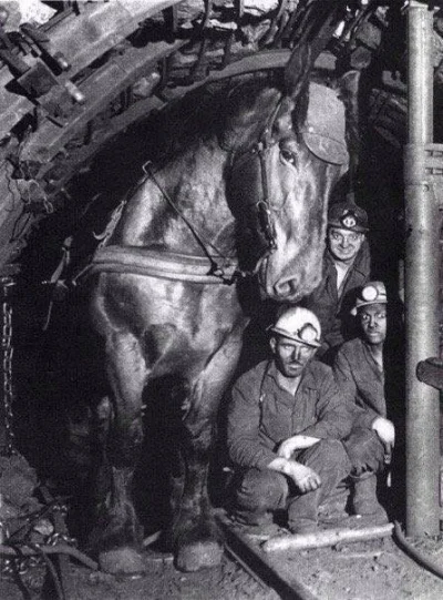 myrmekochoria - Scena z kopalni węgla, Ukraina lata 70. XX wieku.

#starszezwoje - ...