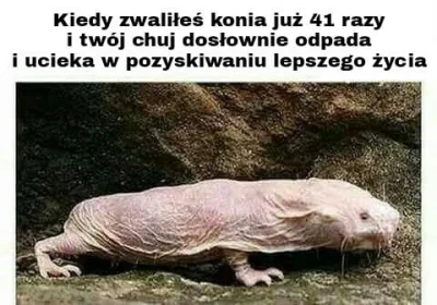 Olomir - #heheszki #humorobrazkowy