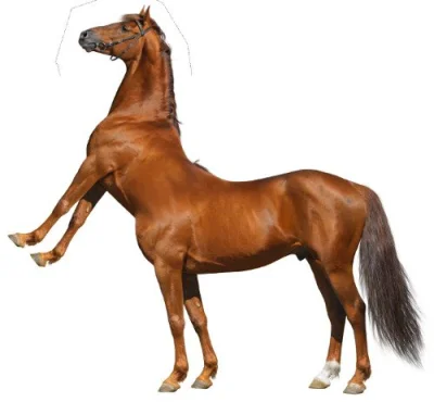Funky666 - > centaur

@WuDwaKa: A może to pół-koń-pół-centaur? ¯\\(ツ)\/¯