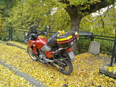 uosiu - #1000zdjeczmotocyklem #motocykle jesień już jest :-(