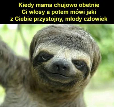 Qnioo - #humor #heheszki #humorobrazkowy