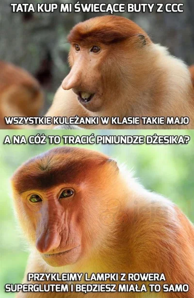 PawelW124 - #humor #heheszki #polak #nosacz #nosaczsundajski #buty #pasjonaciubogiego...