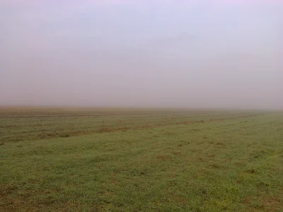 alla232 - Zdjęcie nr 3 Jelenie we mgle. Jakby ktoś zastanawiał się gdzie są to prakty...