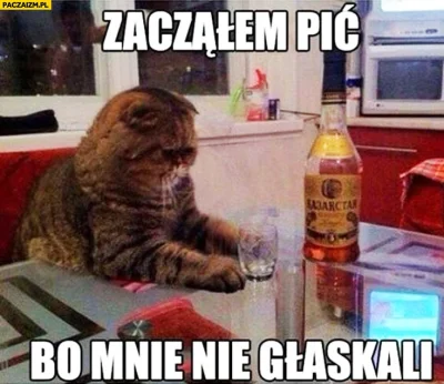 adachoo - #koty #pijzwykopem #heheszki #humorobrazkowy