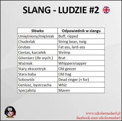 PalNick - #szkolastandard

OSTROŻNIE! ( ͡° ͜ʖ ͡°) Oczywiście slang dość gwałtownie ...