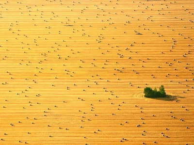 mactrix - Dzisiejsze zdjęcie dnia w National Geographic - Polska, Mazury, autor: Andr...