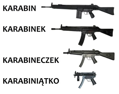 Karburatorzodzysku - Takie tam #heheszki #gunboners #gunporn