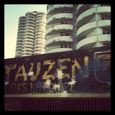 normanos - #tauzen #katowice