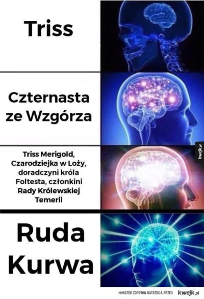 V.....r - #wiedzmin #takaprawda #humorobrazkowy