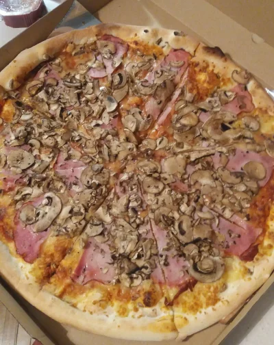 Mysterii - Dobry wieczór, Mirko. (｡◕‿‿◕｡)

#pizza #omnomnom