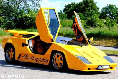 Wypok2 - Taka tam perełka z otomoto. Lamborghini Countach za jedyne 69k ( ͡º ͜ʖ͡º)
S...