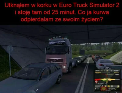 borysszyc - #ets2 #heheszki