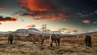 KristoferMichaelson - Poranek rozmiar 1920x1080 #tworczoscwlasna #islandia #earthporn...