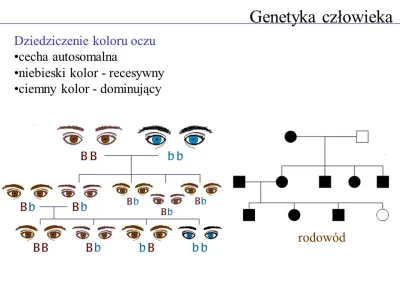 ProGruntowy - Zagadka: Jeżeli ojciec ma brązowe oczy i geny Bb, a matka ma niebieskie...