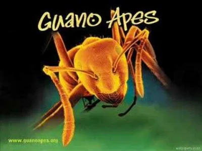 Jaww - Guano Apes- Open Your Eyes
#muzyka #numetal #postgrunge #guanoapes
