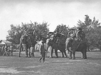 siwymaka - Afganistan - 1924 rok

#fotografia #fotohistoria