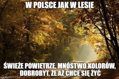 ferranger - #polska #wpolscejakwlesie