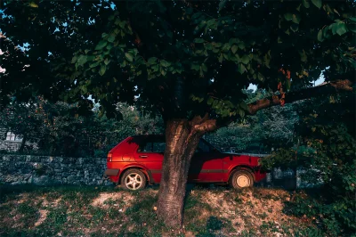 Monochrome_Man - Czerwony VW Golf przyjechał na jesienne jabłka... tak sie spieszył, ...