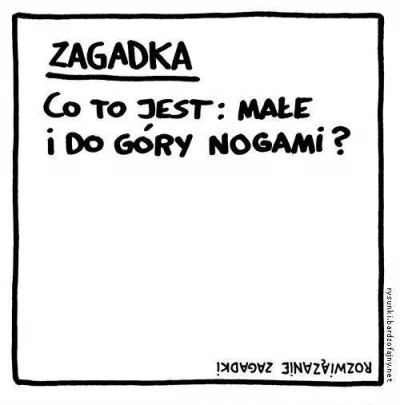 tomasz123inny - #zagadka