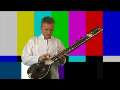 kampus_tv - Kret gra na śmiesznej gitarce

#nockrecikow