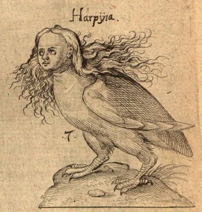 harpia - jest i harpia