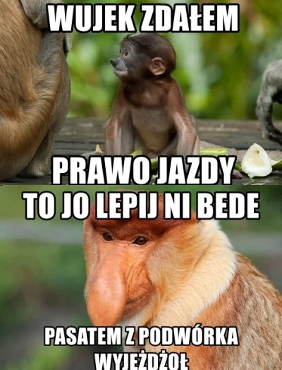 bulidomex321 - #heheszki #polakicebulaki #janusze #polak #humorobrazkowy #humor 
#no...