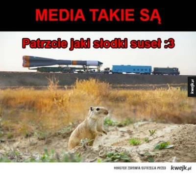 i.....d - #media #susel